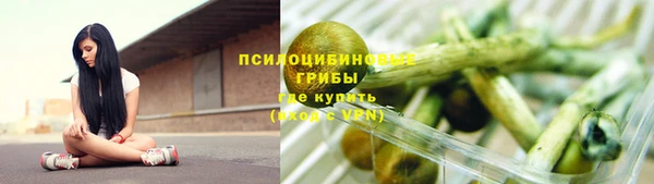 метадон Алексин