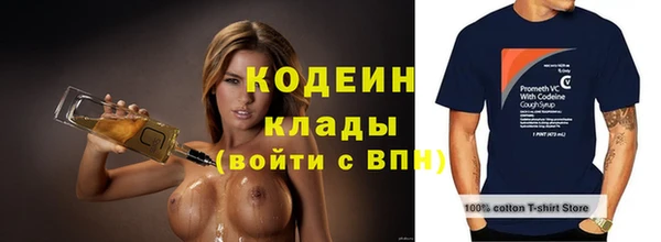 метадон Алексин