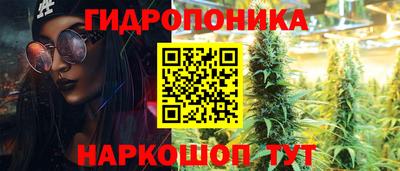 прущие грибы Кумертау
