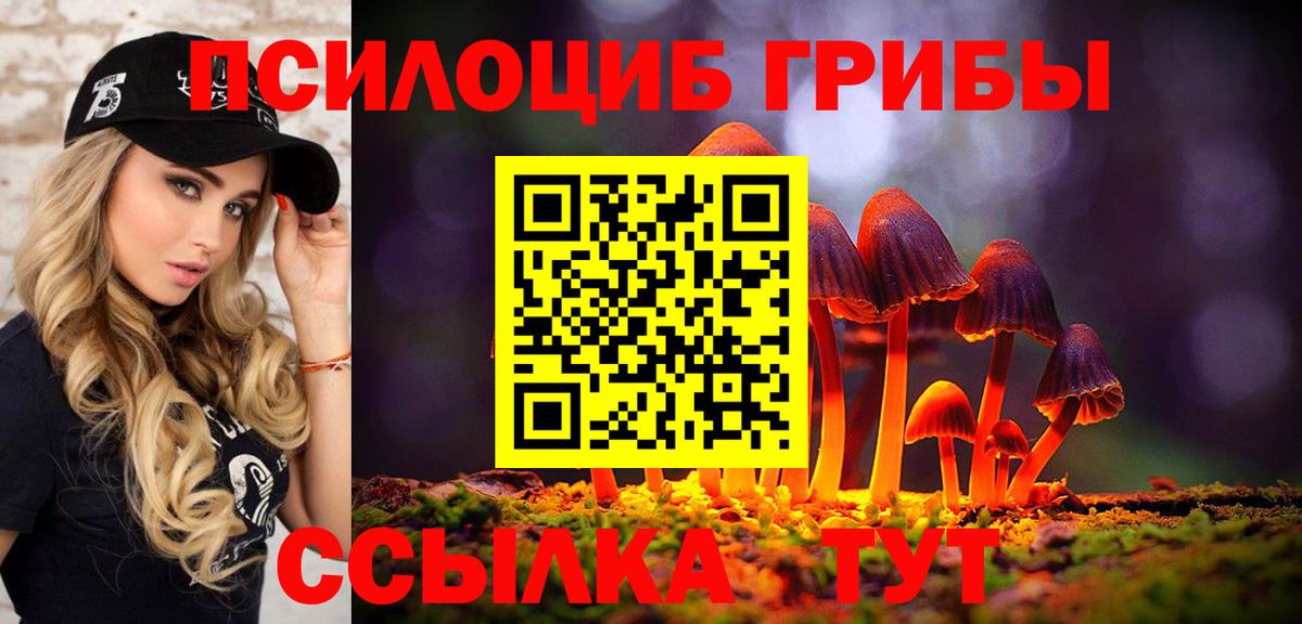 Кропоткин  продажа наркотиков  Вход с VPN  Псилоцибиновые грибы мицелий 
