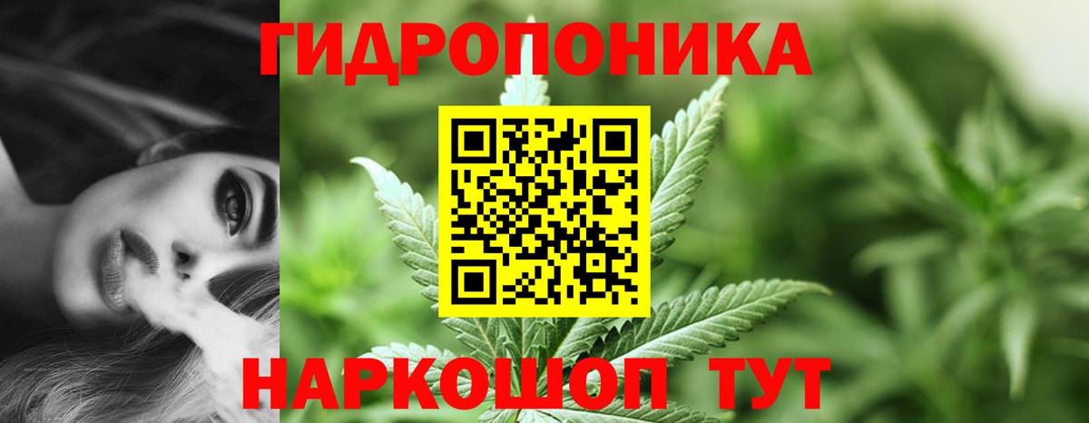 Канабис планчик Кропоткин